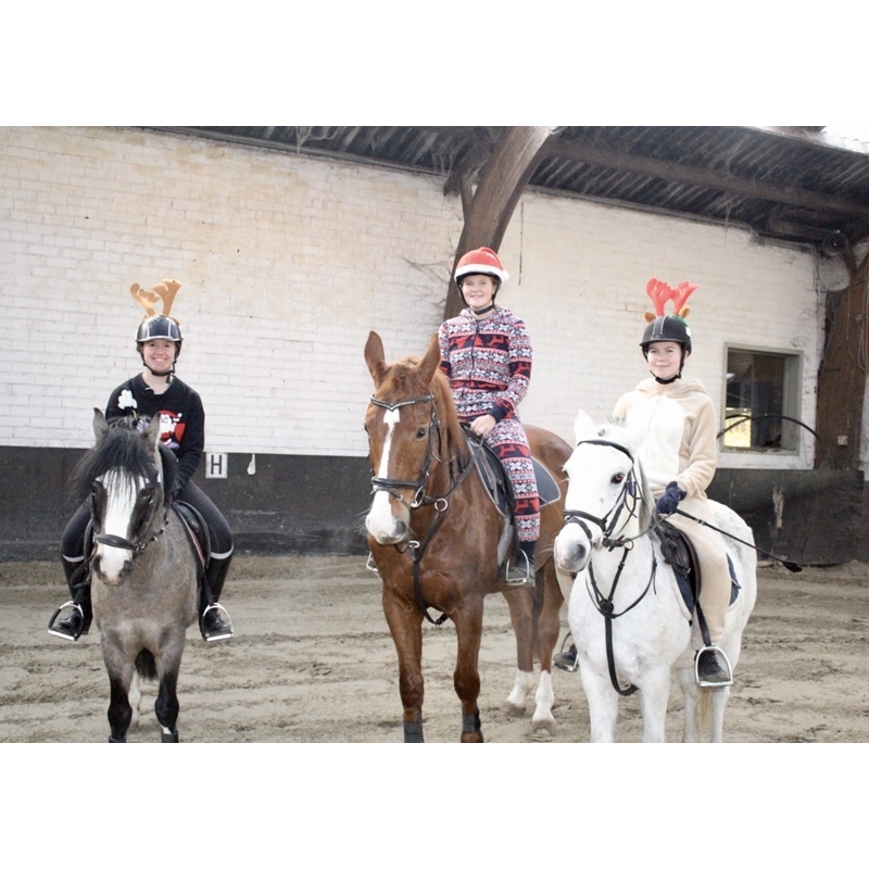 Paardrijden Kta Brugge